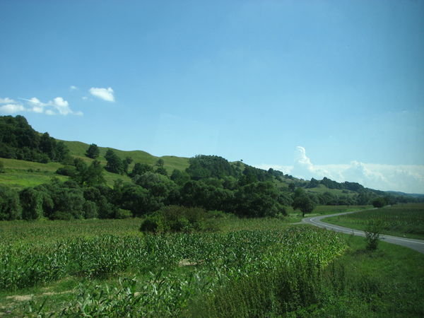 Beautiful landscape on the road to Biertan
