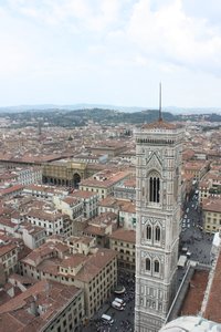 Florence 144