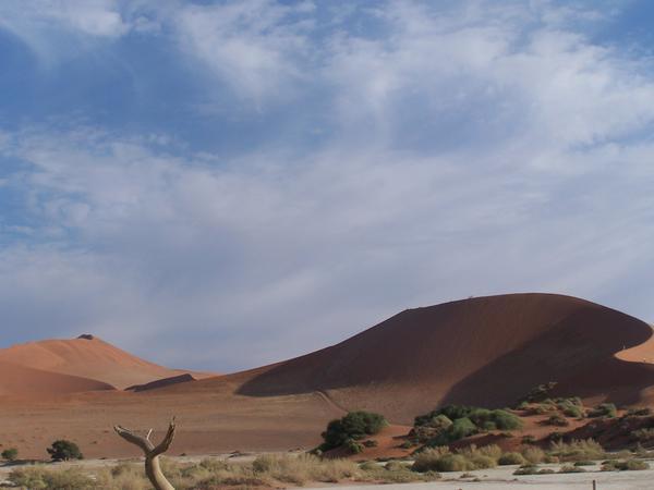 The whole of the dune