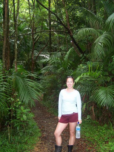 In the rainforest!