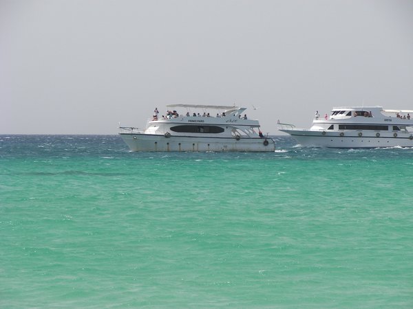 Snorkeling in the Red Sea 006