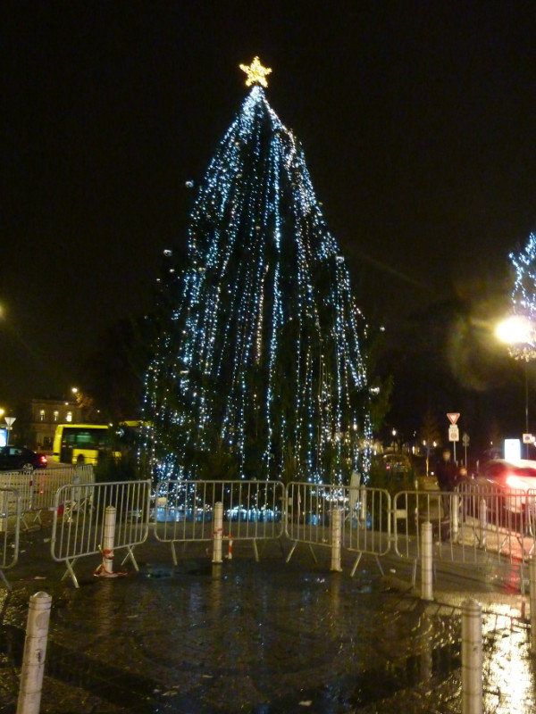 Big christmas tree