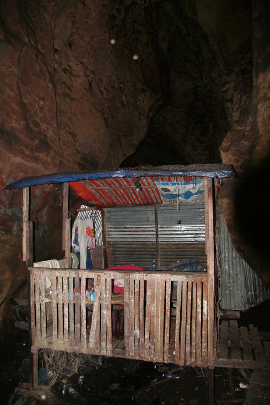 Sabah - Gomantong Caves (10)