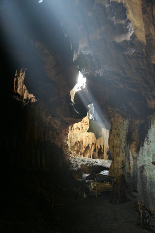 Sabah - Gomantong Caves (15)
