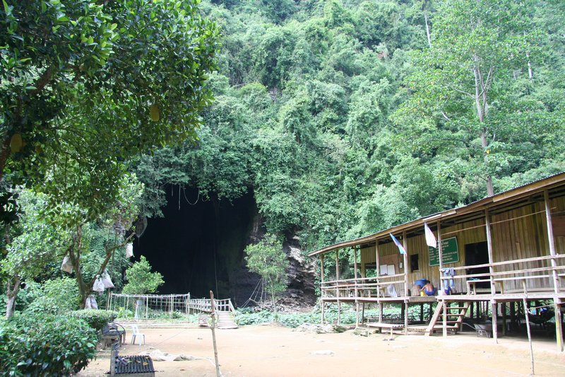 Sabah - Gomantong Caves (26)