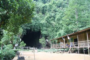 Sabah - Gomantong Caves (26)