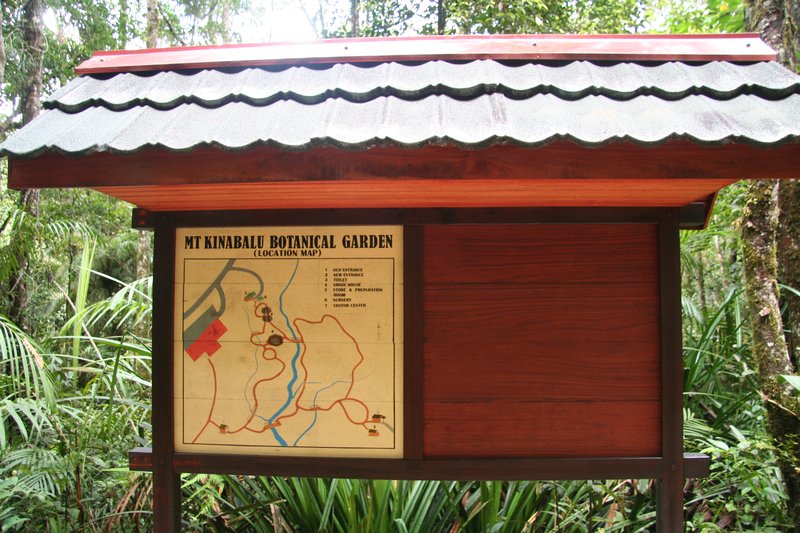 Sabah - Kinabalu National Park  (2)