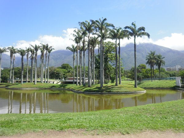 parque de este with the avila mountain behind