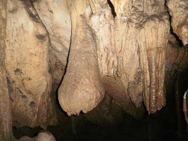 stalagmites or stalactites