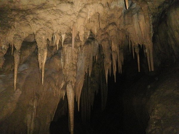 stalactites I think :)