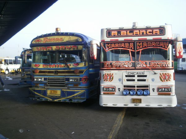 regional buses
