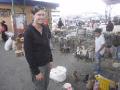the animal market