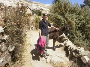 Zuzi with a donkey