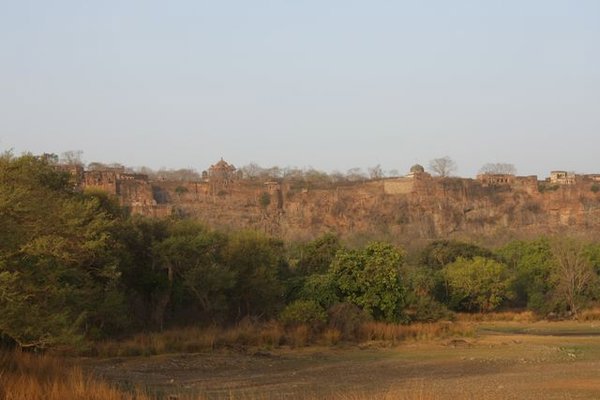 Ranthambhore Park and Fort