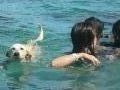 Swimming with Aqua dog 