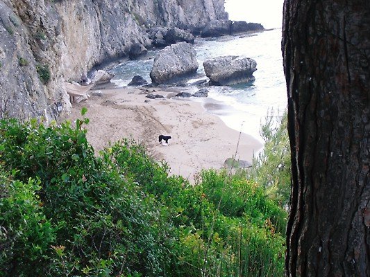 What is left of Myrtiotissa Beach