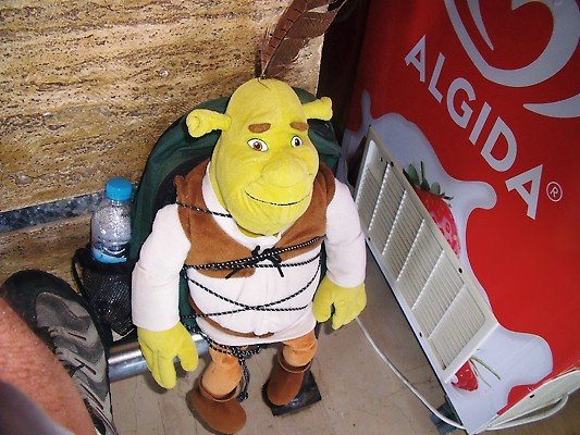 Shrek chills by a cooler!