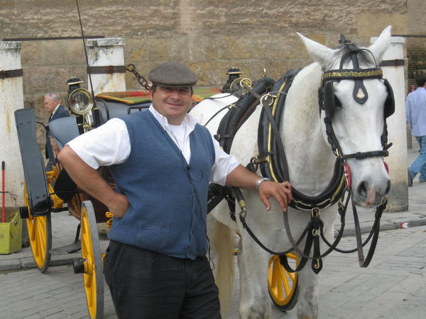 Our Carriage Driver and Horse