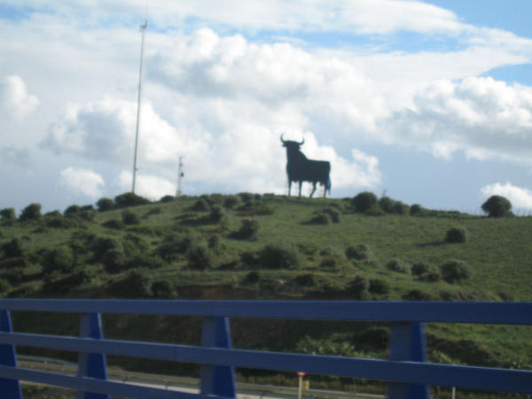 Hillside Bull Sign