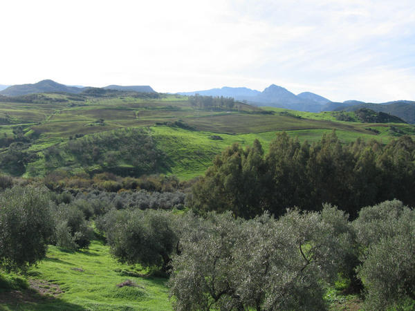 Countryside Near Zahara