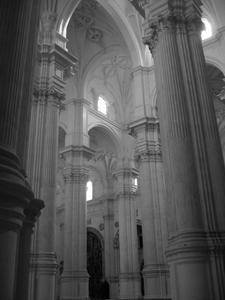 Cathedral Columns