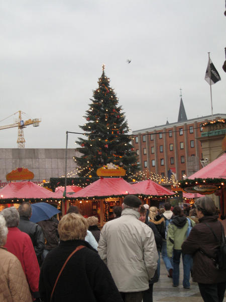 Christmas Tree and Christmas Market