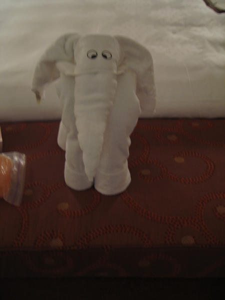 Towel Elephant in our Room