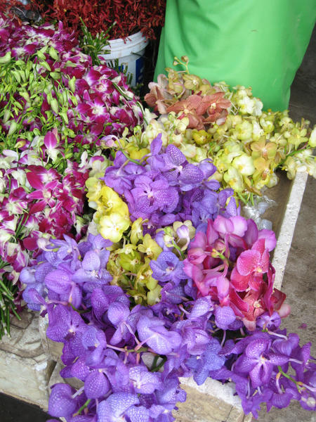 Flowers in the Day Market