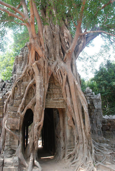 Temples Near Angkor Thom