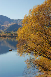 Views Near Arrowtown