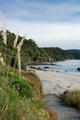 Stewart Island