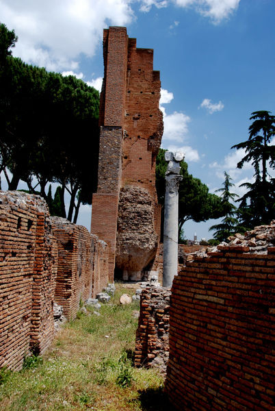 Palatine Hill Pictures