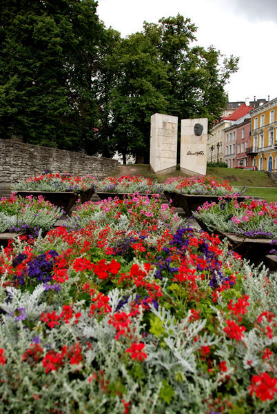 Old Town Fowers