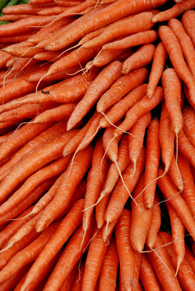 Carrots from Market Square