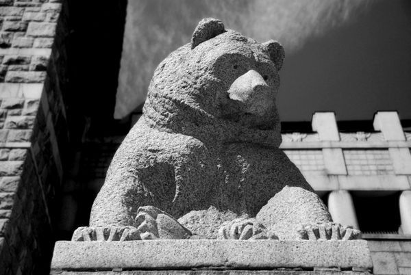 Bear Statue from National Museum