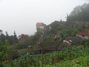 Valley on a foggy day