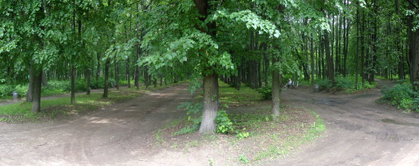 Gorky Park 4