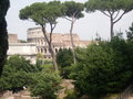 Palatino/Roman Forum Ruins 4