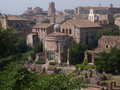 Palatino/Roman Forum Ruins 5