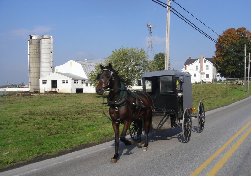 Life of the Amish (3)