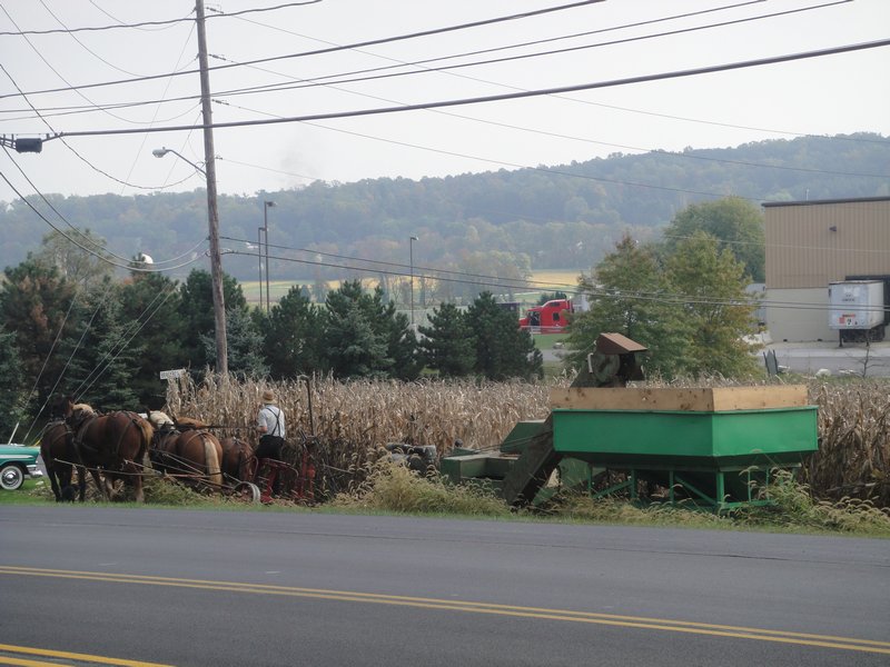 Life of the Amish (7)