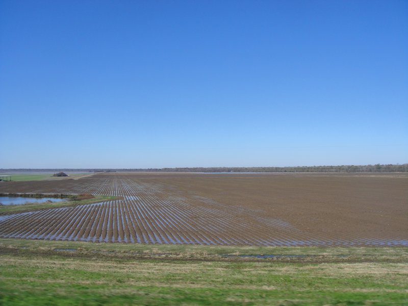 Mississippi Delta Farmland