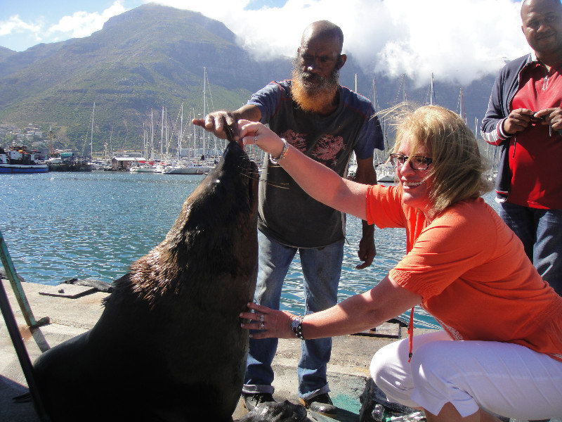 Feeding the seals at the Wharf