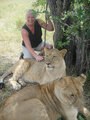 Lion petting