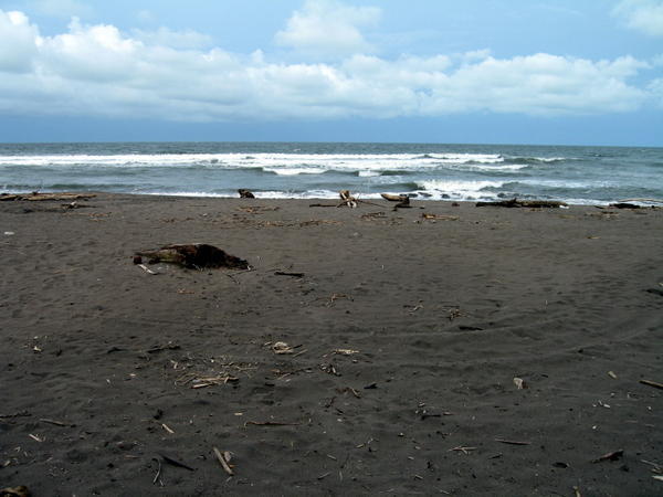 The Beach at Tortuguero