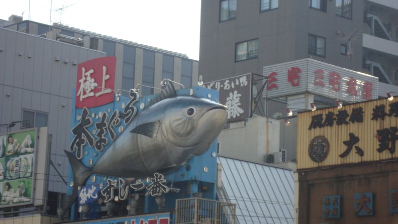 Tsuki Fish Market