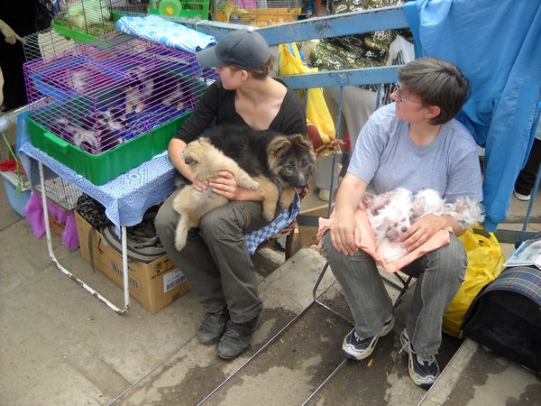 Market in Obninsk