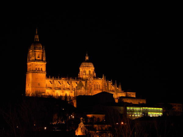 Cathedral at night - Salamanca