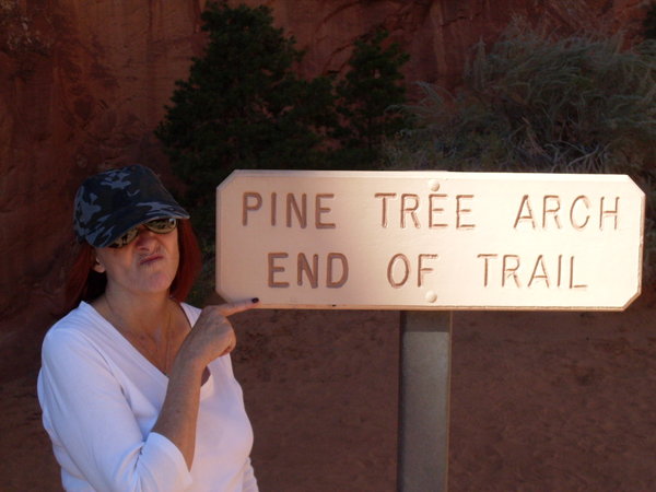pine Tree Arch