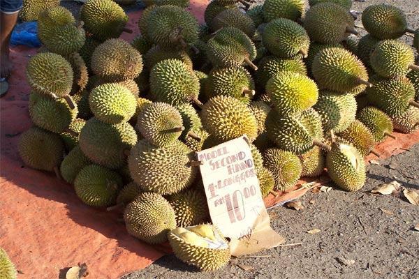 Pile of...durian